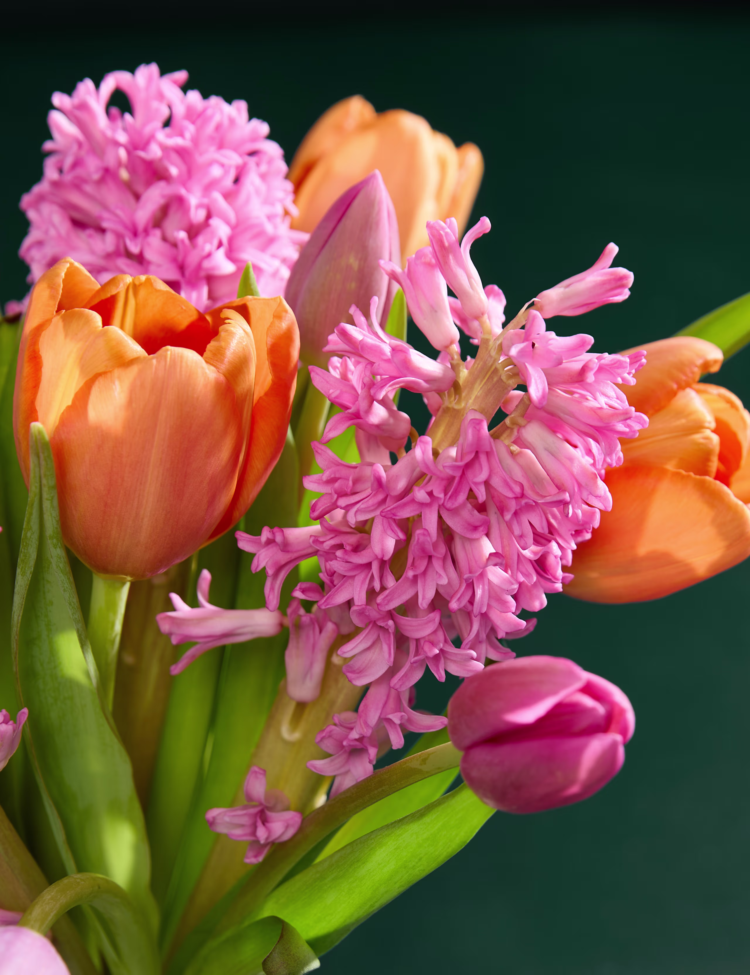 Lale ve Sümbül Buketi